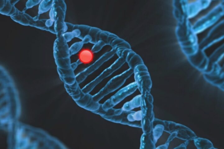 Retka bolest o kojoj se malo zna – Posebna grupa Ministarstva za brigu o porodici brine o obolelima od retkih bolesti